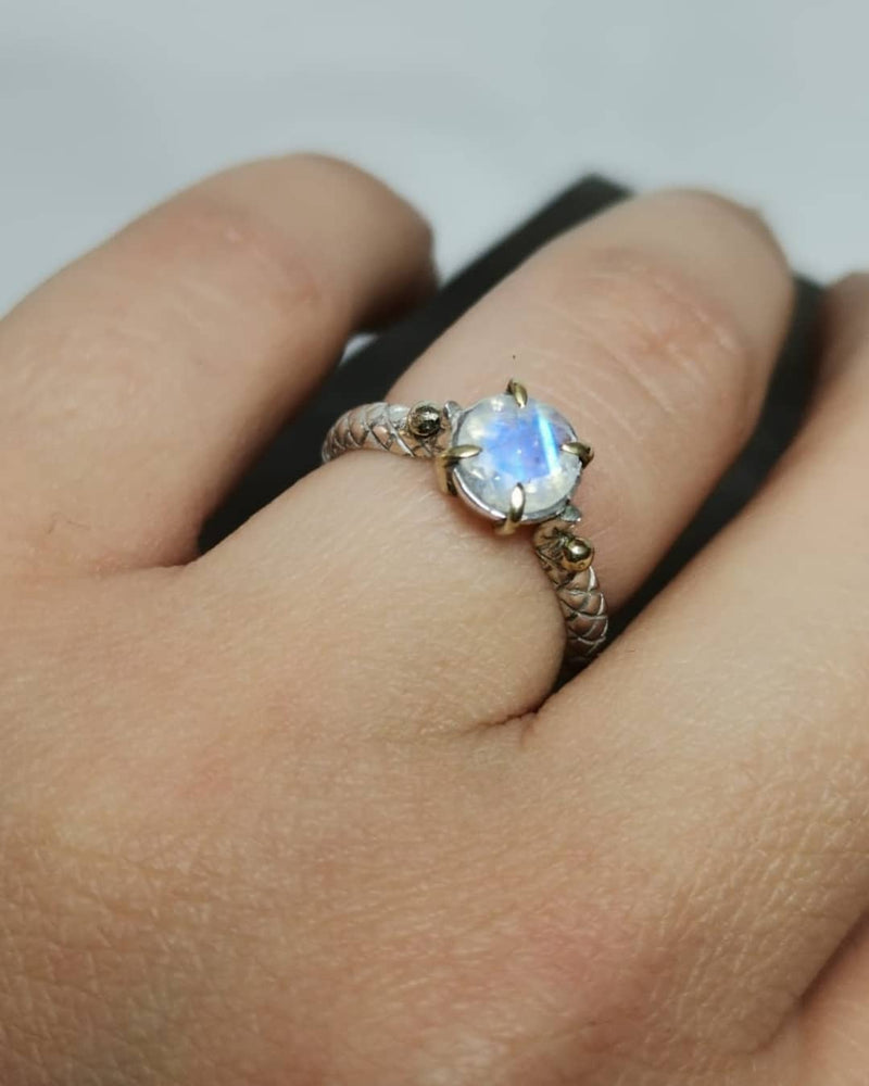 Anillo Cántaro